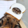 Tamagochi