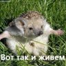 Таиска